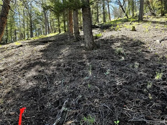 2669 Settele Drive Hartsel, CO 80449