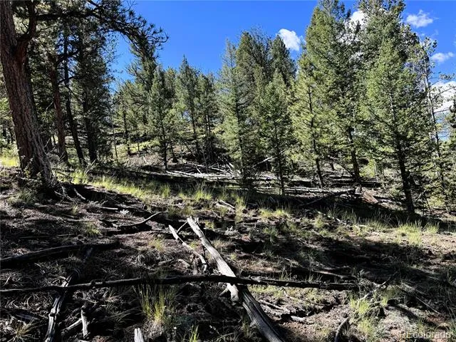 2669 Settele Drive Hartsel, CO 80449