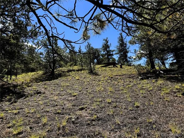 2669 Settele Drive Hartsel, CO 80449
