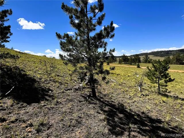 2669 Settele Drive Hartsel, CO 80449