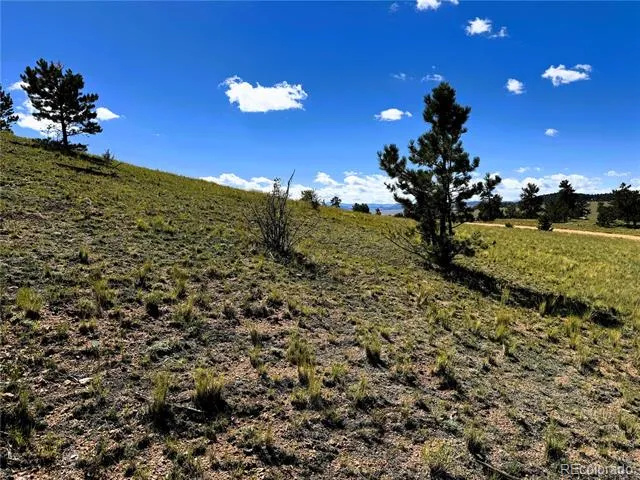 2669 Settele Drive Hartsel, CO 80449