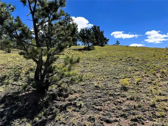 2669 Settele Drive Hartsel, CO 80449