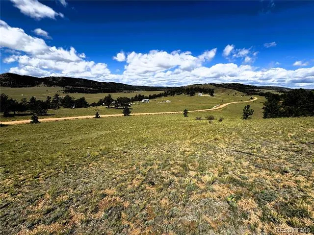 2669 Settele Drive Hartsel, CO 80449