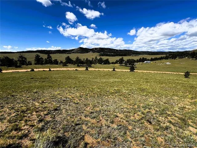 2669 Settele Drive Hartsel, CO 80449