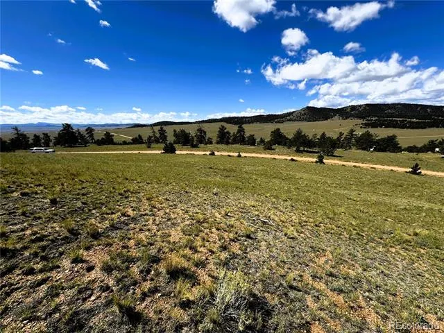 2669 Settele Drive Hartsel, CO 80449