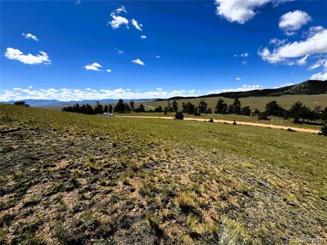 2669 Settele Drive Hartsel, CO 80449