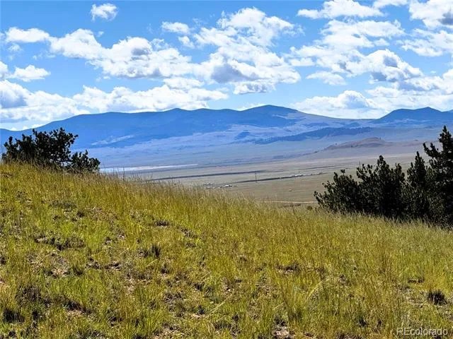 2669 Settele Drive Hartsel, CO 80449