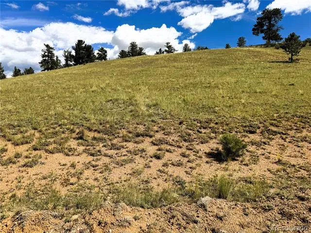 2669 Settele Drive Hartsel, CO 80449