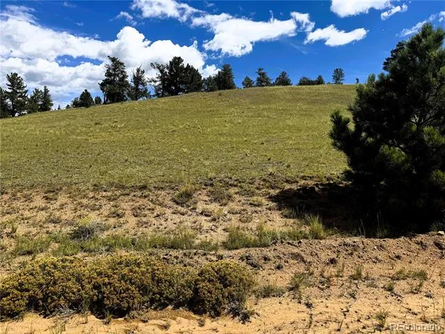 2669 Settele Drive Hartsel, CO 80449