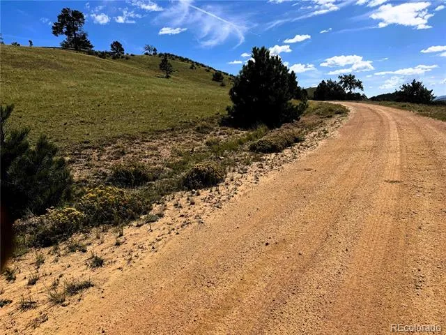 2669 Settele Drive Hartsel, CO 80449