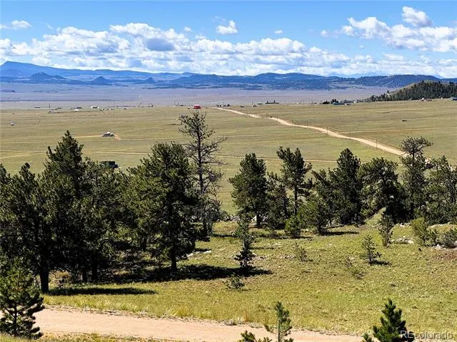 2669 Settele Drive Hartsel, CO 80449