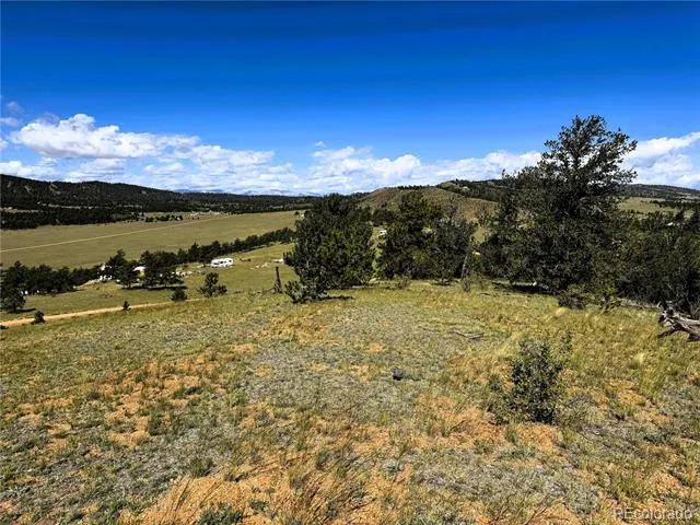 2669 Settele Drive Hartsel, CO 80449