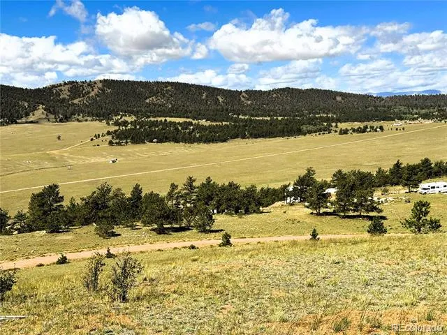 2669 Settele Drive Hartsel, CO 80449