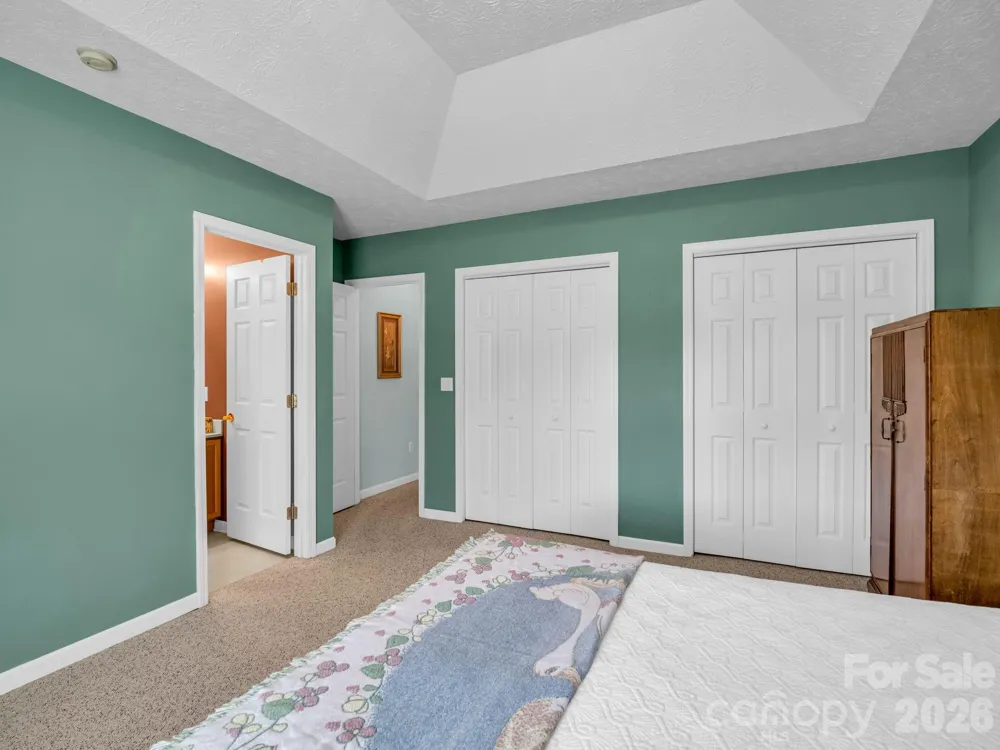 59 S Woodridge View Court Hendersonville, NC 28791