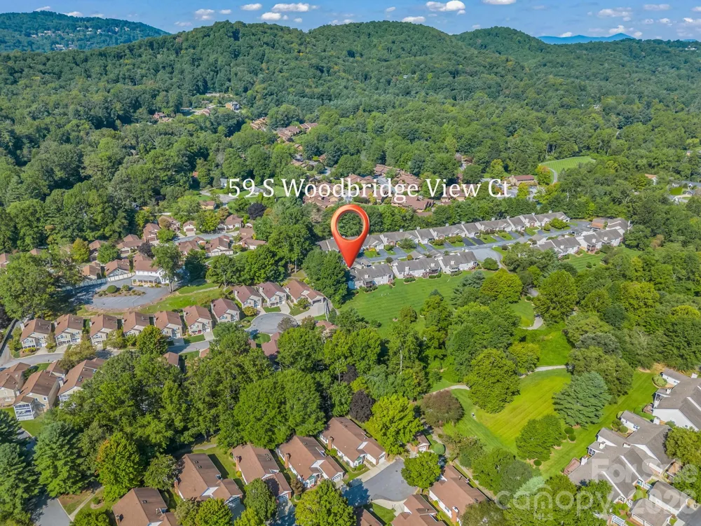 59 S Woodridge View Court Hendersonville, NC 28791