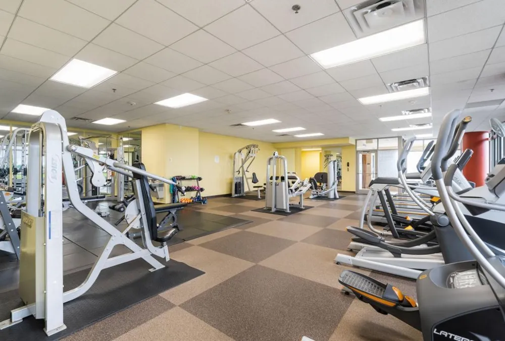 929 Portland Ave #1310 Minneapolis, MN 55404