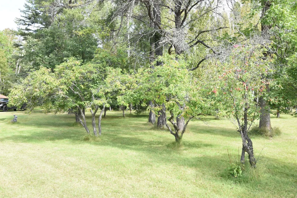 1297 County Road 2 NW Williams, MN 56686