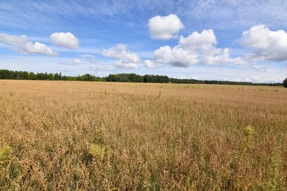 1297 County Road 2 NW Williams, MN 56686