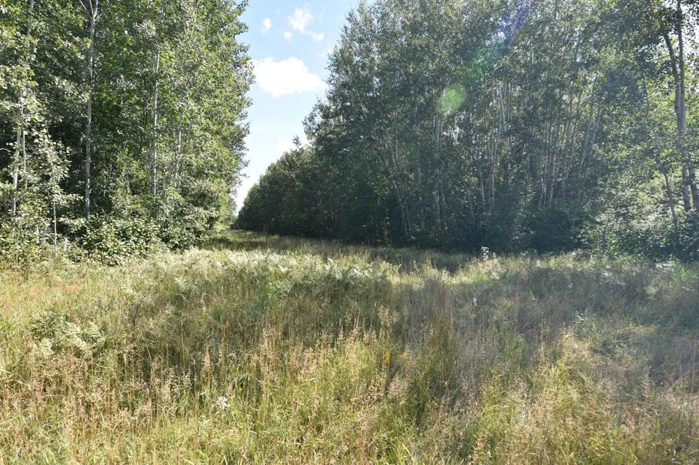 1297 County Road 2 NW Williams, MN 56686