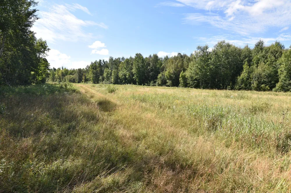 1297 County Road 2 NW Williams, MN 56686