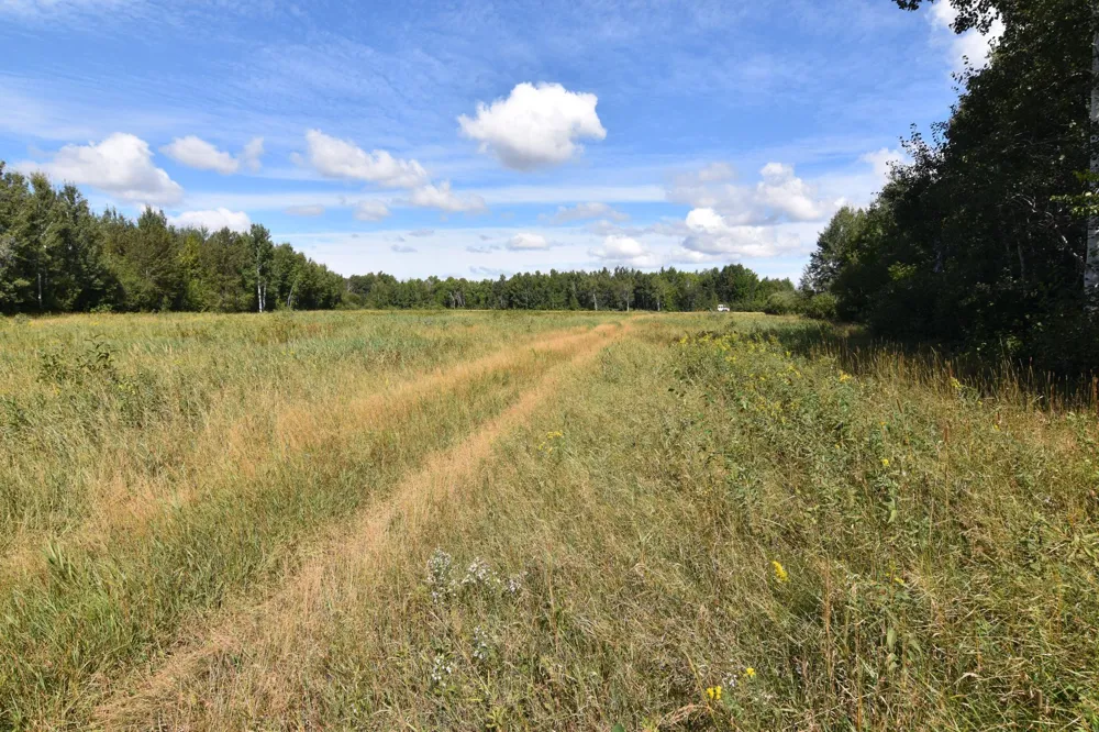 1297 County Road 2 NW Williams, MN 56686
