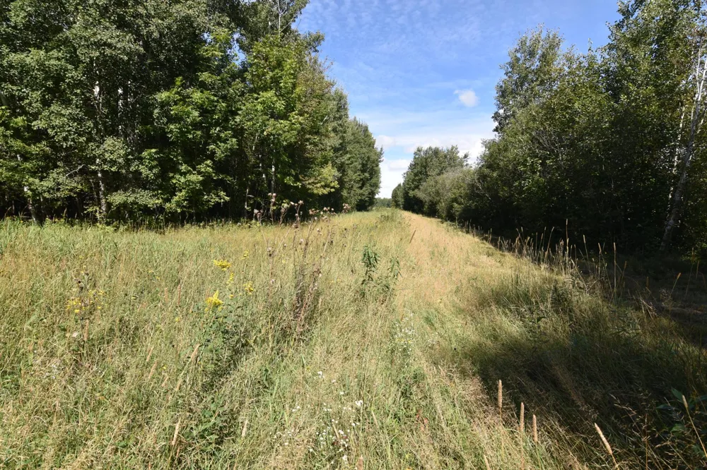 1297 County Road 2 NW Williams, MN 56686