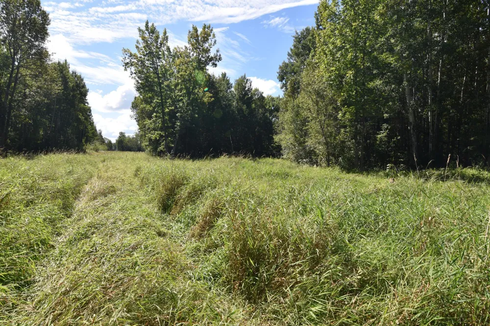 1297 County Road 2 NW Williams, MN 56686