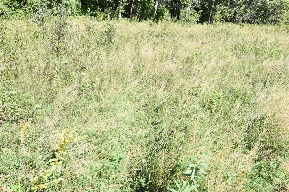 1297 County Road 2 NW Williams, MN 56686
