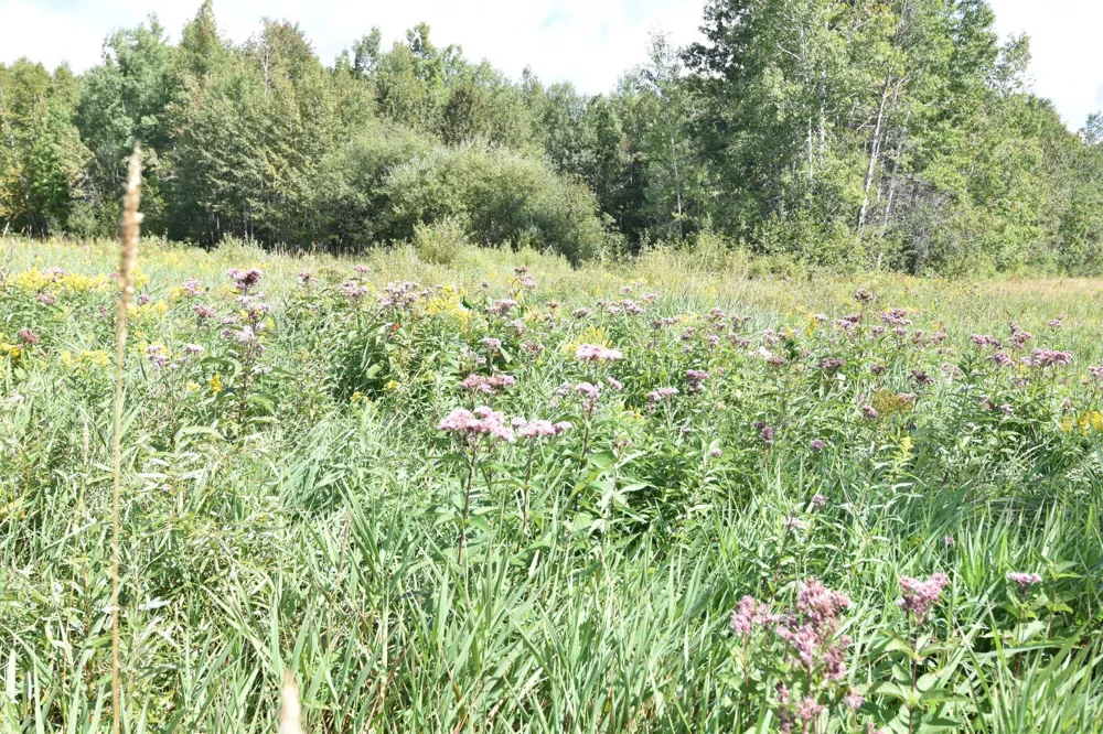 1297 County Road 2 NW Williams, MN 56686