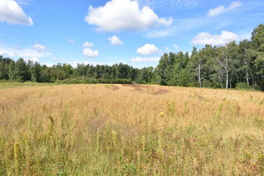 1297 County Road 2 NW Williams, MN 56686