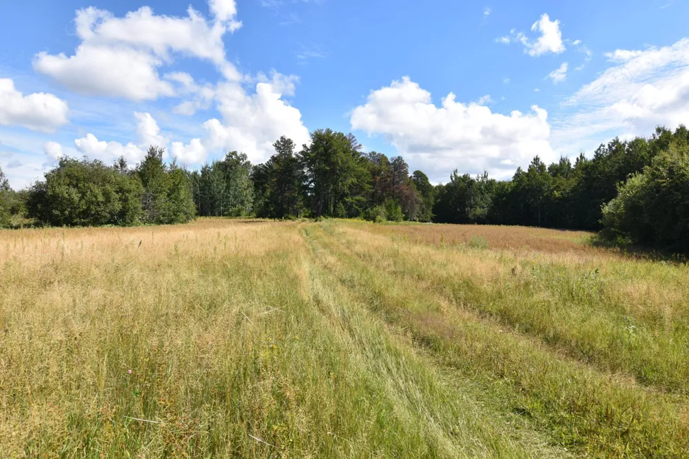 1297 County Road 2 NW Williams, MN 56686