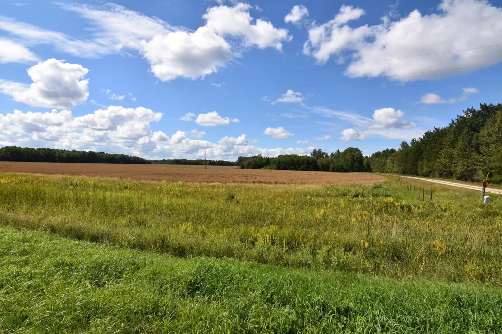1297 County Road 2 NW Williams, MN 56686