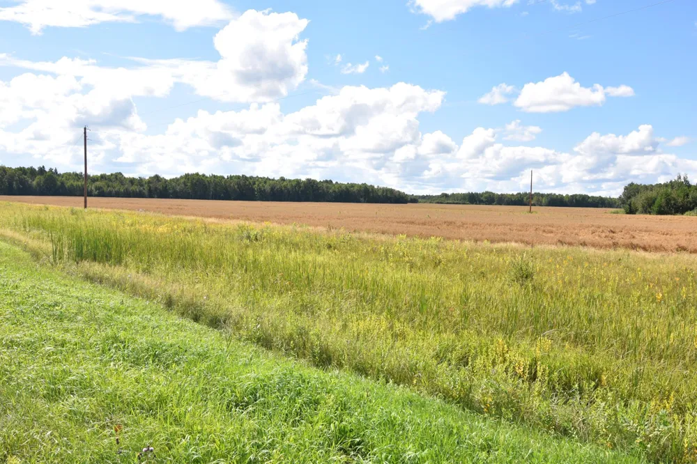1297 County Road 2 NW Williams, MN 56686