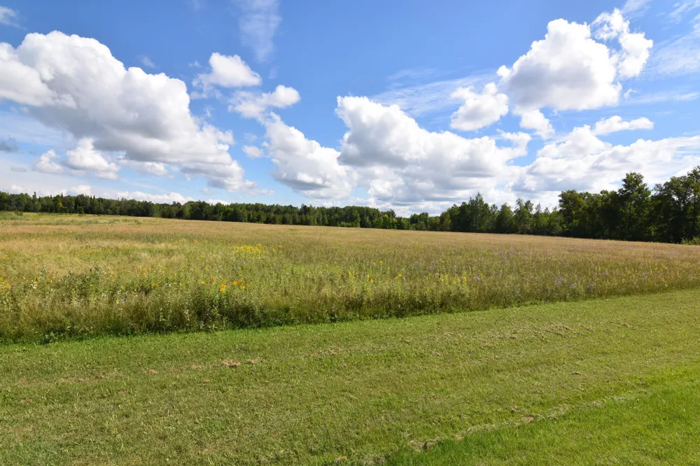 1297 County Road 2 NW Williams, MN 56686