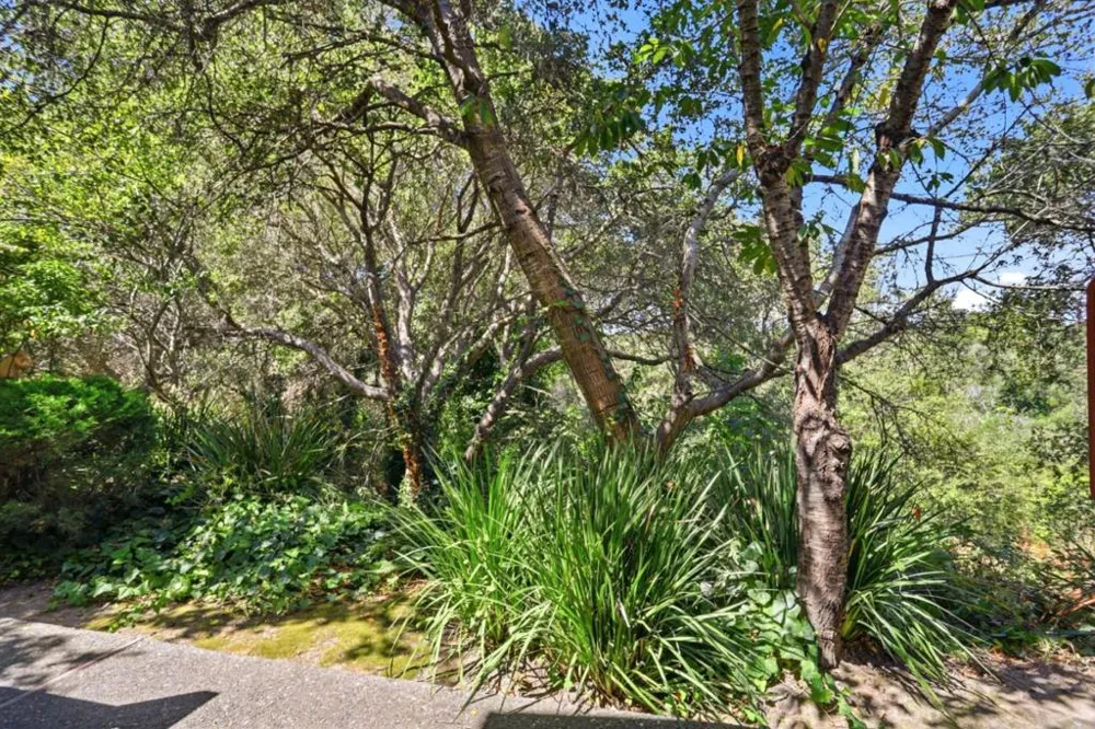 755 14th Avenue #409 Santa Cruz, CA 95062