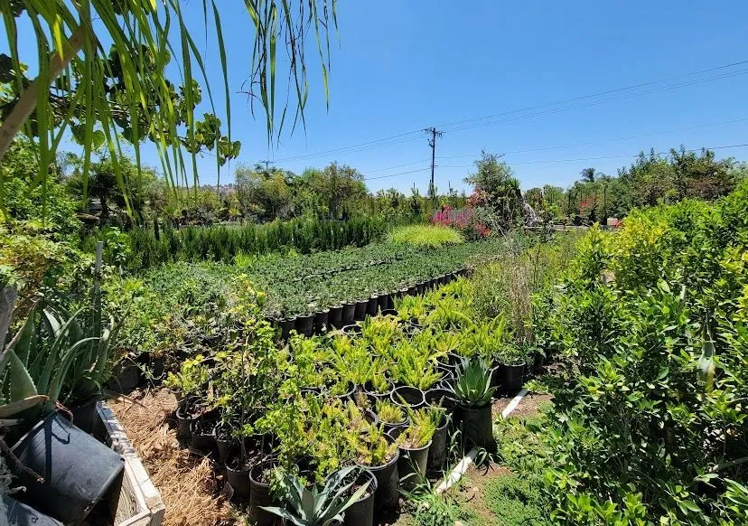 9045 56th Street Jurupa Valley, CA 92509