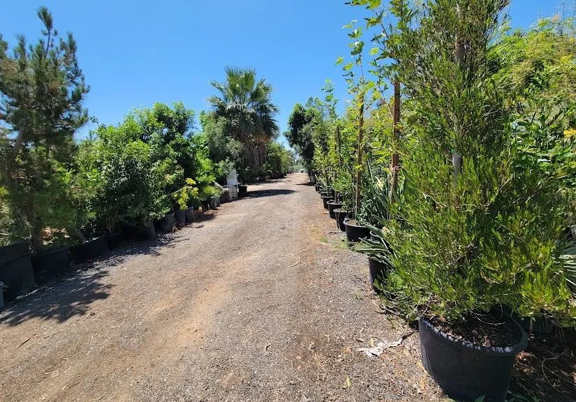 9045 56th Street Jurupa Valley, CA 92509