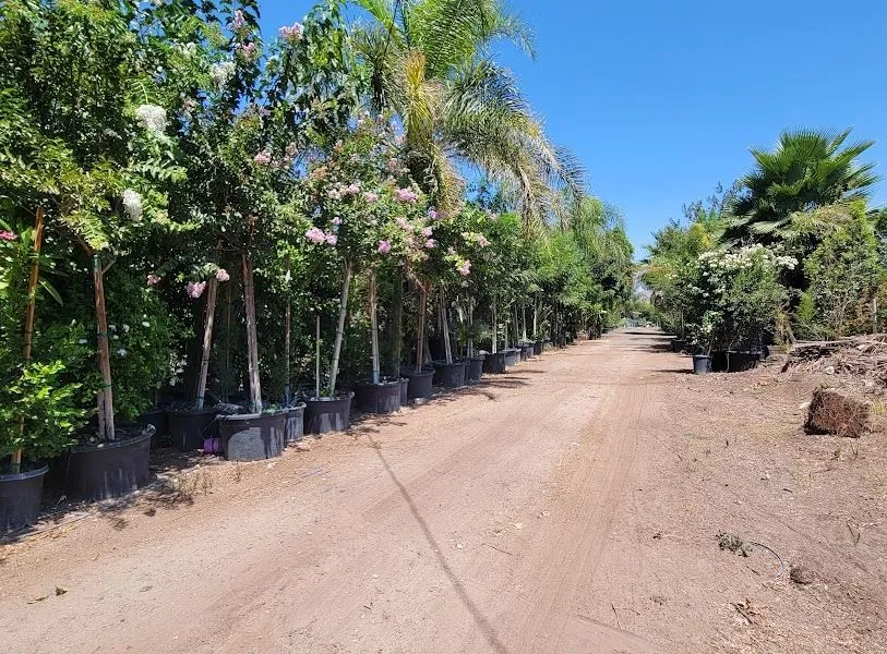 9045 56th Street Jurupa Valley, CA 92509