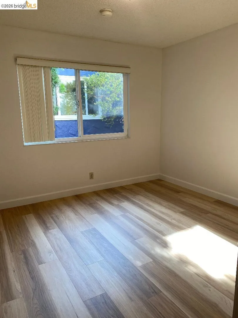 708 Solano Ave Albany, CA 94706