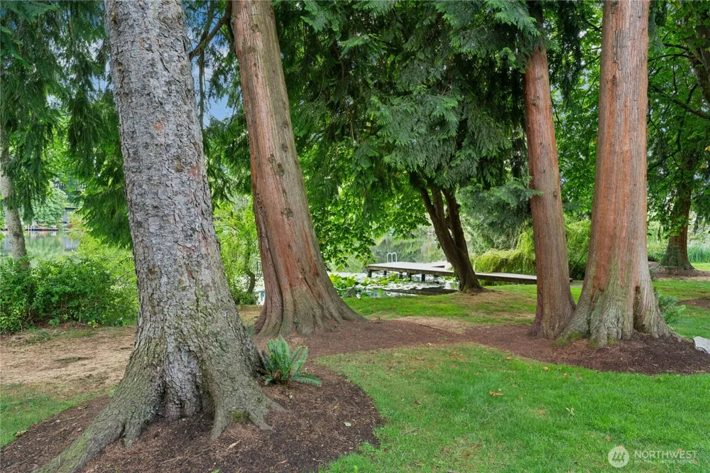 1132 198th Street #C302 Shoreline, WA 98133
