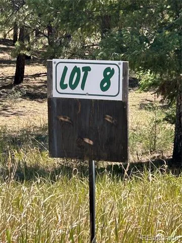 14850 Quandary Peak Road Pine, CO 80470