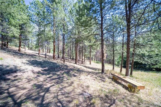 14850 Quandary Peak Road Pine, CO 80470