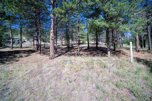 14850 Quandary Peak Road Pine, CO 80470