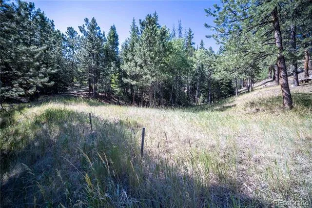 14850 Quandary Peak Road Pine, CO 80470