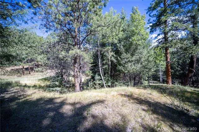 14850 Quandary Peak Road Pine, CO 80470
