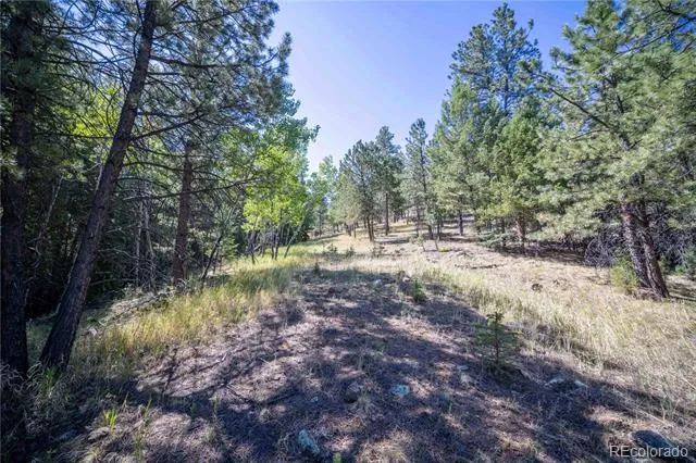 14850 Quandary Peak Road Pine, CO 80470