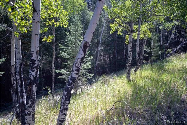 14850 Quandary Peak Road Pine, CO 80470
