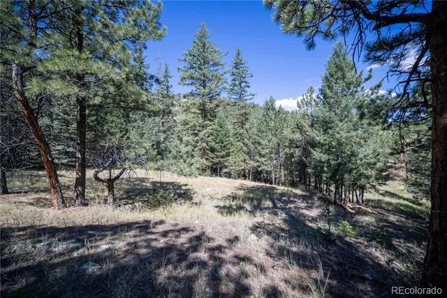 14850 Quandary Peak Road Pine, CO 80470