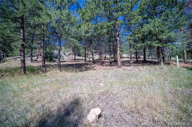 14850 Quandary Peak Road Pine, CO 80470