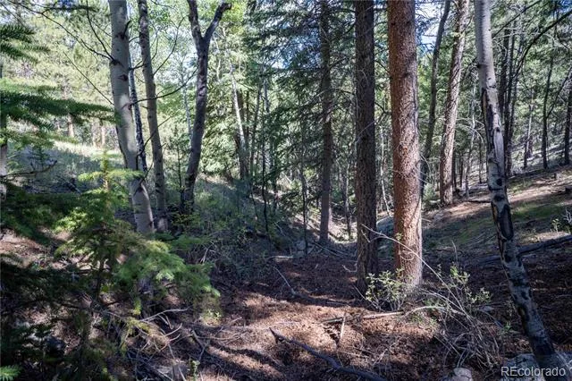 14850 Quandary Peak Road Pine, CO 80470